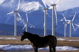 Publié le 24 avril 2009:Seules les énergies renouvelables créeront des emplois