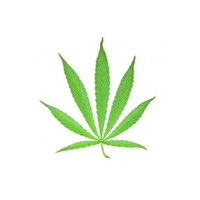 Formation sur l’impact de la légalisation du cannabis en milieu de travail